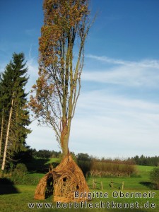 Gemeinschaftsprojekt Stileichenhaus